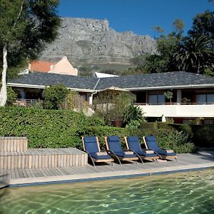 Lézard Bleu Guest House